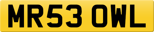 MR53OWL