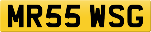 MR55WSG