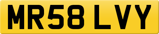 MR58LVY