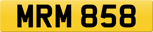 MRM858