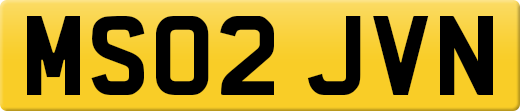 MS02JVN