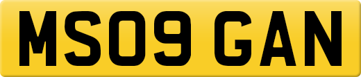 MS09GAN
