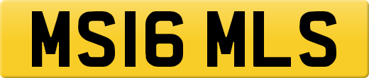 MS16MLS