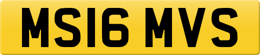 MS16MVS