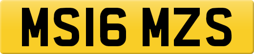 MS16MZS