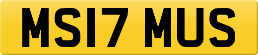 MS17MUS