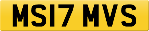 MS17MVS