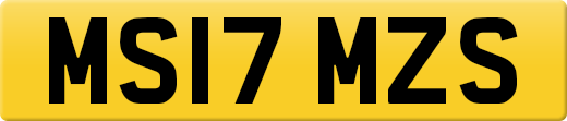 MS17MZS