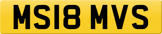 MS18MVS