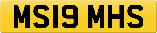 MS19MHS