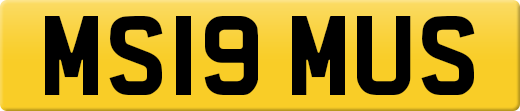 MS19MUS