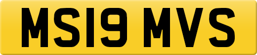MS19MVS