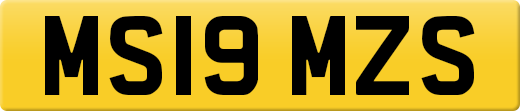 MS19MZS