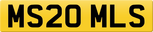 MS20MLS