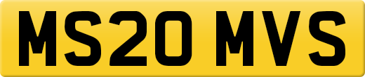 MS20MVS