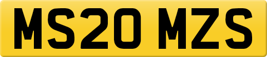 MS20MZS