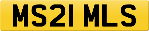 MS21MLS
