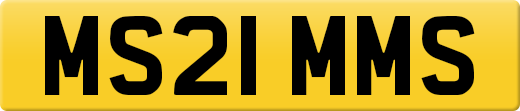 MS21MMS