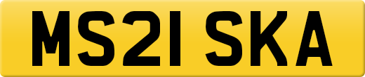 MS21SKA