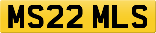 MS22MLS
