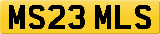 MS23MLS