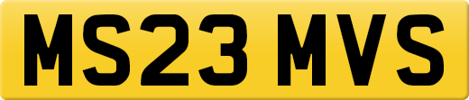 MS23MVS