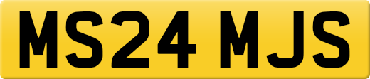 MS24MJS