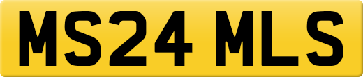 MS24MLS