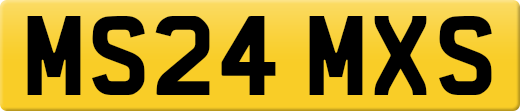 MS24MXS