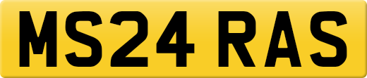 MS24RAS