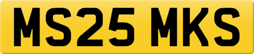 MS25MKS