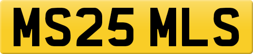 MS25MLS