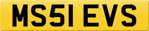 MS51EVS