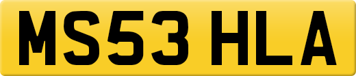 MS53HLA
