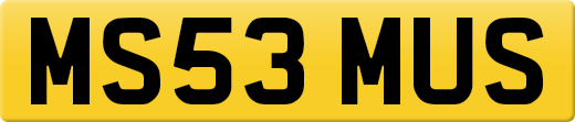 MS53MUS