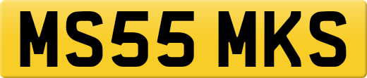 MS55MKS