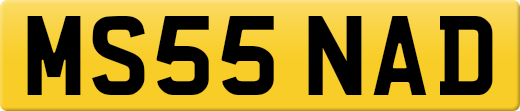 MS55NAD