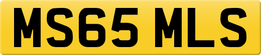 MS65MLS