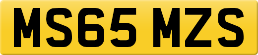 MS65MZS