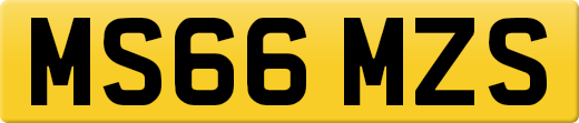 MS66MZS