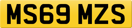 MS69MZS