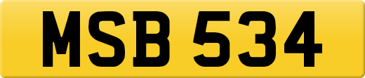MSB534