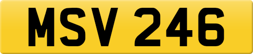 MSV246