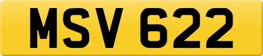 MSV622