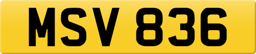 MSV836