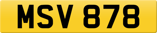 MSV878