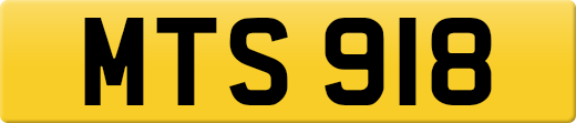 MTS918