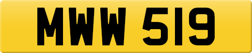 MWW519