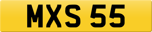 MXS55