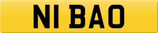 N1BAO